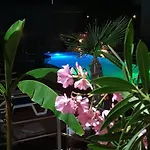 Cacao Сонячний Берег