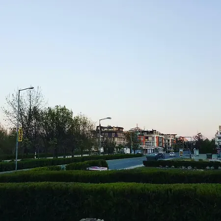 Cacao Slantchev Briag