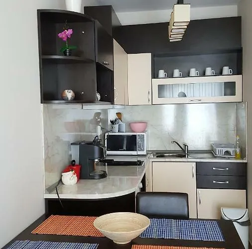 Cacao * Slantschew brjag