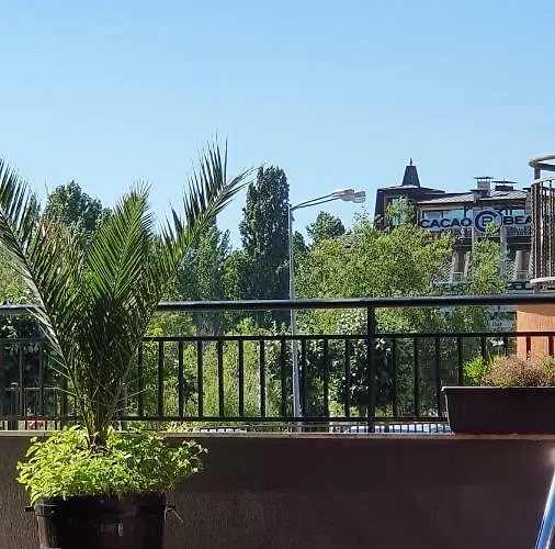 Cacao Slantschew brjag