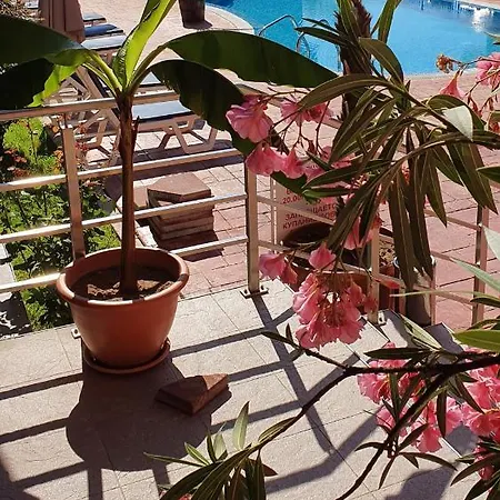 Apartamento Cacao Sunny Beach